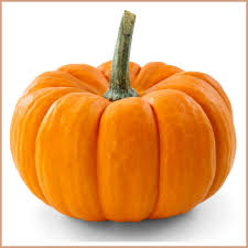 Image result for pumpkin