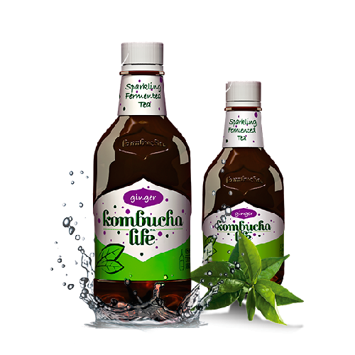 SGR - Kombucha Cu Ghimbir Eco 500Ml Life